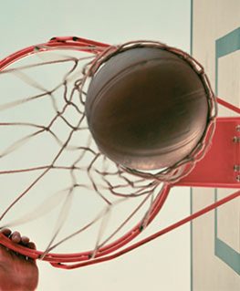 concours-fondation-partenariale-Art-Science-sur-le-thème-«-Sciences-et-Basket