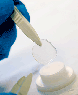 innovation-grese-universite-limoges-eau-environnement-recherche