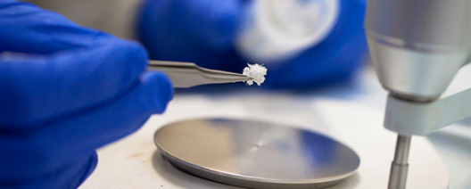 h2020-polythea-universite-de-limoges