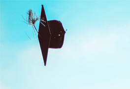 remise-diplome-doctorat-nota-bene