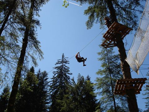 800px-accrobranche02-cp_champery-aventure-ch