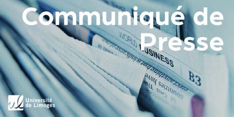 twplan-de-travail-12x-100