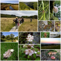 stages_qualifiants_sulim