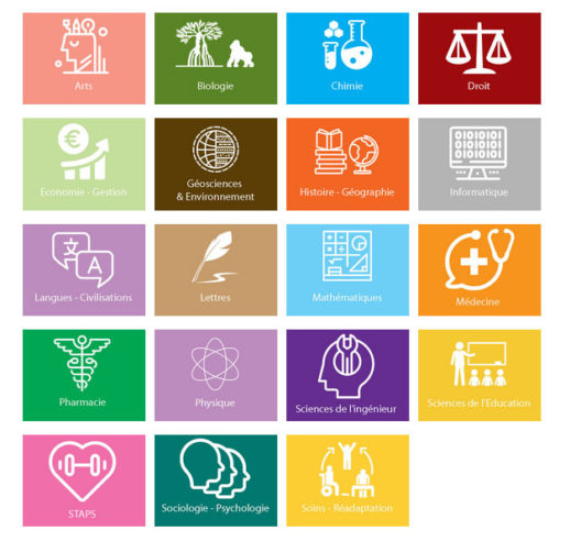 image-portail-disciplinaire