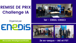 photo-enedis-new