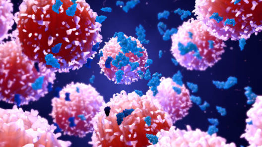 3d illustration proteins with lymphocytes , t cells or cancer cells