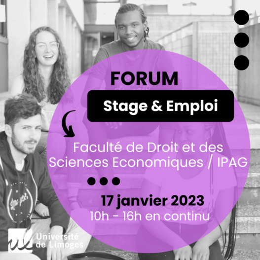 stageemploi_fdse