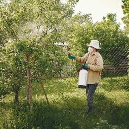 conference-pesticide
