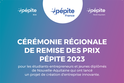 prix-pepite-article