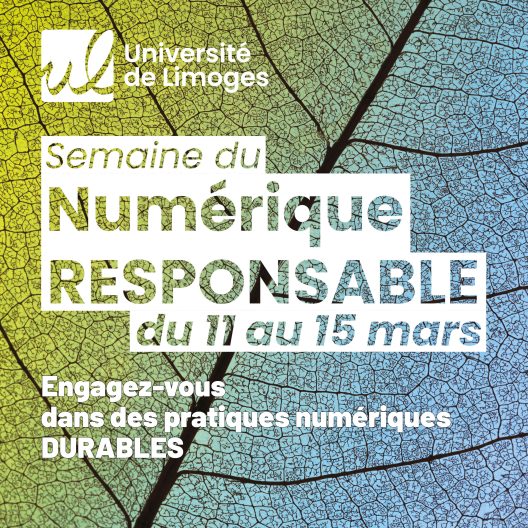 Numerique responsable 600x600