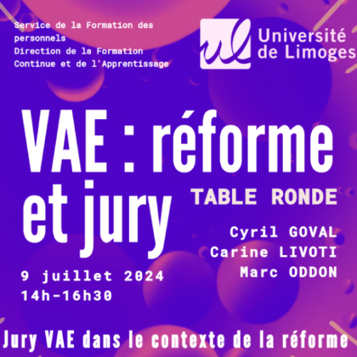 2024-07-09_table-ronde_vae_v2-copie
