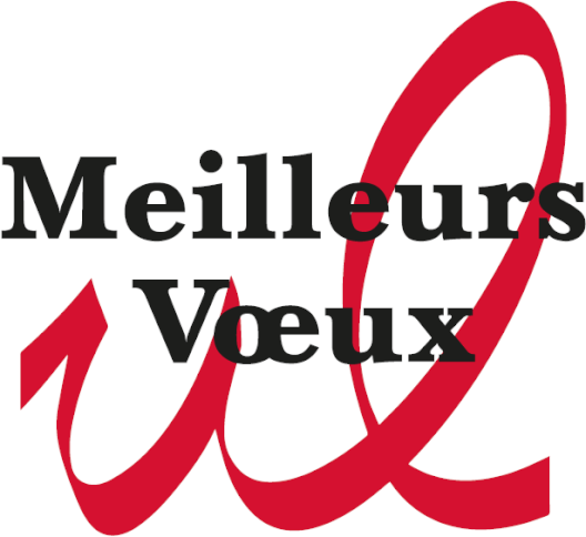 logo-meilleurs-voeux-528x484